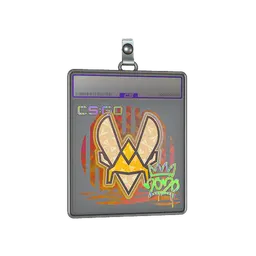 Sticker Slab | Vitality (Holo) | 2020 RMR