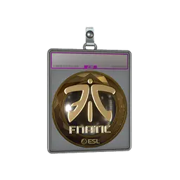 Sticker Slab | Fnatic (Gold) | Katowice 2019
