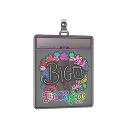 Sticker Slab | biguzera (Holo) | Budapest 2025