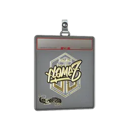 Sticker Slab | FlameZ (Gold) | Paris 2023