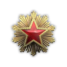 2016 Service Medal