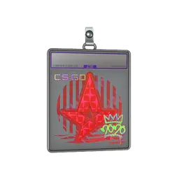 Sticker Slab | Astralis (Holo) | 2020 RMR