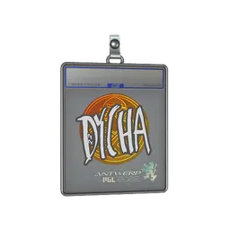Sticker Slab | dycha | Antwerp 2022