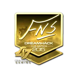 Sticker | FNS (Gold) | Cluj-Napoca 2015