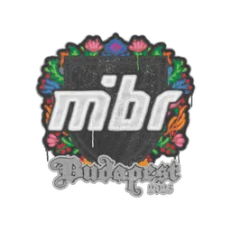 Sealed Graffiti | MIBR | Budapest 2025