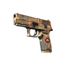 P250 | Red Rock