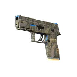 P250 | Exchanger