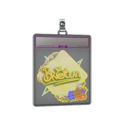 Sticker Slab | Brollan (Holo) | Rio 2022