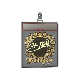 Sticker Slab | bodyy (Gold) | Budapest 2025