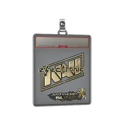 Sticker Slab | electronic (Gold) | Antwerp 2022