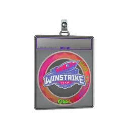 Sticker Slab | Winstrike Team (Holo) | Katowice 2019