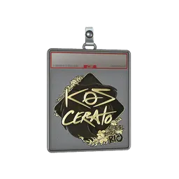 Sticker Slab | KSCERATO (Gold) | Rio 2022