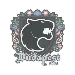 Sticker | FURIA | Budapest 2025