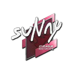 Sticker | suNny | Boston 2018