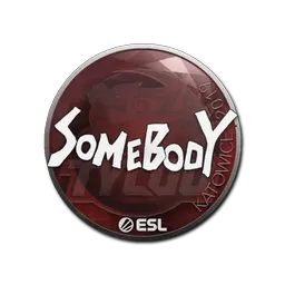 Sticker | somebody | Katowice 2019