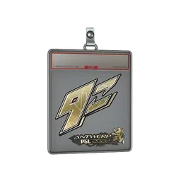 Sticker Slab | 9z Team (Gold) | Antwerp 2022