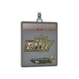 Sticker Slab | WOOD7 (Gold) | Antwerp 2022