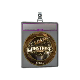 Sticker Slab | Winstrike Team (Gold) | Katowice 2019