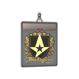 Sticker Slab | Astralis (Gold) | Budapest 2025