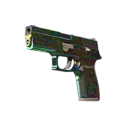 P250 | Visions