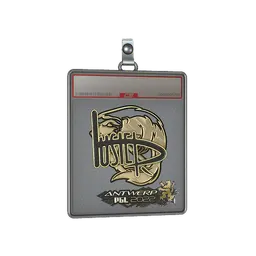 Sticker Slab | buster (Gold) | Antwerp 2022