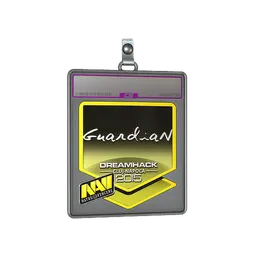 Sticker Slab | GuardiaN (Foil) | Cluj-Napoca 2015