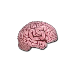 Sticker | CS On The Mind