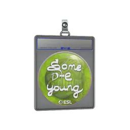 Sticker Slab | sdy | Katowice 2019