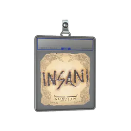 Sticker Slab | insani | Austin 2025