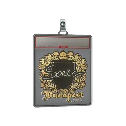 Sticker Slab | Sonic (Gold) | Budapest 2025
