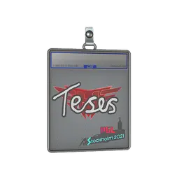 Sticker Slab | TeSeS | Stockholm 2021