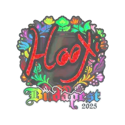 Sticker | HooXi (Holo) | Budapest 2025