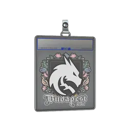 Sticker Slab | Team Spirit | Budapest 2025
