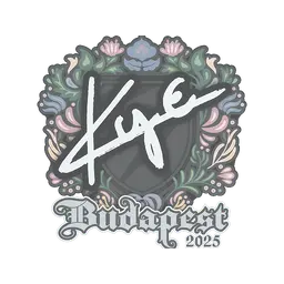 Sticker | kye | Budapest 2025