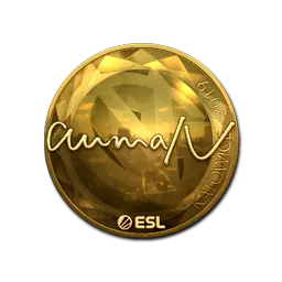 Sticker | aumaN (Gold) | Katowice 2019