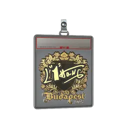 Sticker Slab | L1haNg (Gold) | Budapest 2025