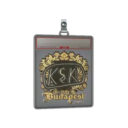 Sticker Slab | kyousuke (Gold) | Budapest 2025