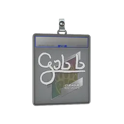 Sticker Slab | gob b | Boston 2018