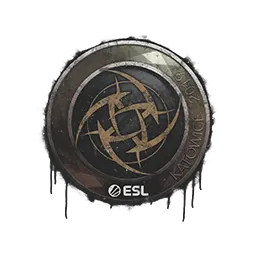 Sealed Graffiti | Ninjas in Pyjamas | Katowice 2019