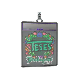 Sticker Slab | TeSeS (Embroidered) | Budapest 2025
