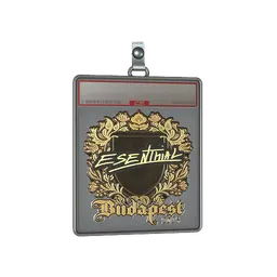 Sticker Slab | esenthial (Gold) | Budapest 2025