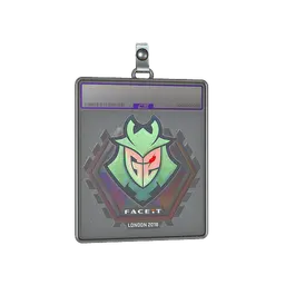 Sticker Slab | G2 Esports (Holo) | London 2018
