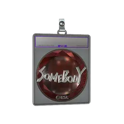 Sticker Slab | somebody (Foil) | Katowice 2019