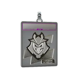 Sticker Slab | G2 Esports (Foil) | Atlanta 2017