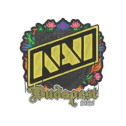 Sealed Graffiti | Natus Vincere | Budapest 2025