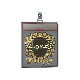 Sticker Slab | torzsi (Gold) | Budapest 2025