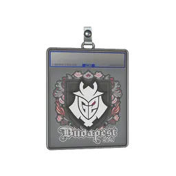 Sticker Slab | G2 esports | Budapest 2025
