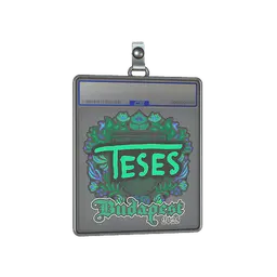 Sticker Slab | TeSeS | Budapest 2025
