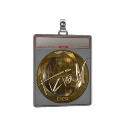 Sticker Slab | tiziaN (Gold) | Katowice 2019