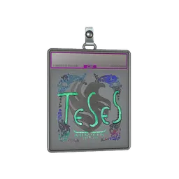 Sticker Slab | TeSeS (Holo) | Austin 2025